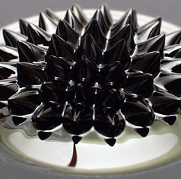 Ferrofluid 20ml + magnet NV079
